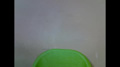 cherryxpussy online show from September 26, 7:33 pm