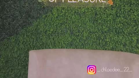 Chloe online show from October 3, 1:05 pm