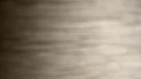 CintiaCollins  online show from January 21, 8:54 pm