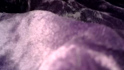 Snapshot of clamslamm11 chatting on October 25, 1:02 am clamslamm11 online show from October 25, 1:02 am