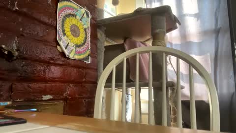 dabqueen_1994 online show from February 13, 5:25 pm