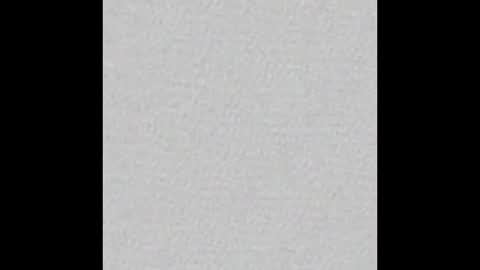 Daisy online show from November 17, 3:29 am