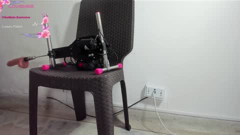 DANI online show from January 13, 1:28 pm