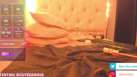 Dani online show from November 23, 9:22 am