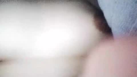 desurvv0999 online show from November 19, 8:03 am