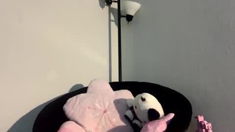 black american princess online show from September 15, 2:31 am