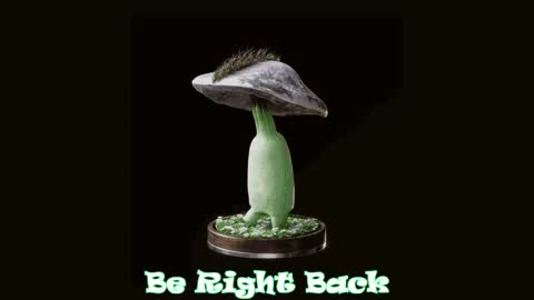 Tara  online show from February 27, 7:23 am