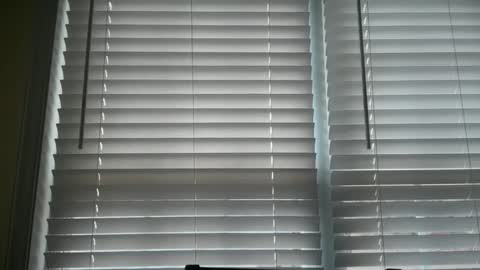 americnbarbie online show from February 12, 4:30 pm