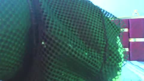 Snapshot of emily_fox_3 chatting on February 27, 11:41 am emily fox 3 online show from February 27, 11:41 am