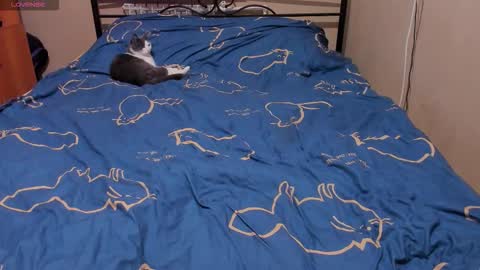 Eva online show from February 12, 2:19 pm