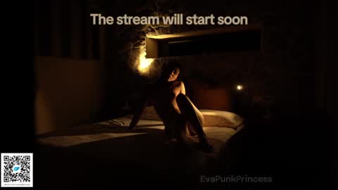 Snapshot of evapunkprincess chatting on January 29, 10:05 am Eva online show from January 29, 10:05 am