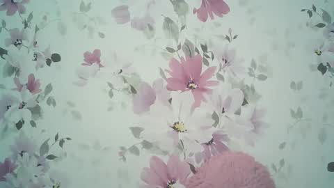 Evelina online show from May 26, 3:55 pm