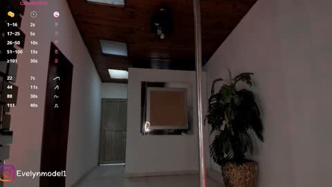Snapshot of evelyn_evelyn chatting on October 18, 8:43 pm evelyn evelyn online show from October 18, 8:43 pm