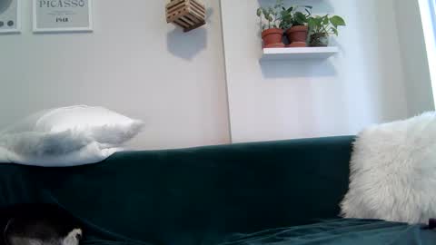 Snapshot of evillers1 chatting on September 22, 8:51 pm Badblondebunny online show from September 22, 8:51 pm