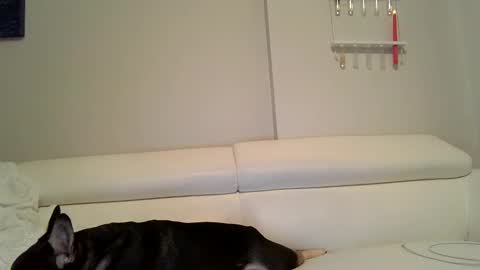 Snapshot of evillers1 chatting on December 12, 12:05 am Badblondebunny online show from December 12, 12:05 am
