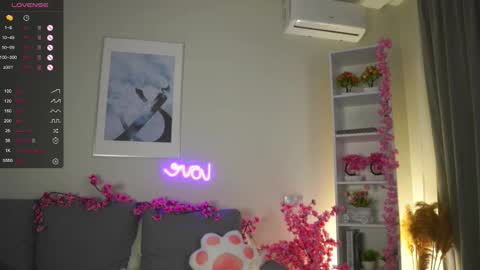 Eva online show from November 10, 3:01 am