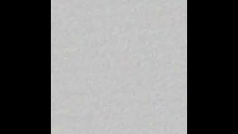 castor online show from February 20, 9:00 am