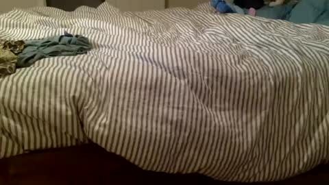 floraexploration online show from March 3, 4:54 am