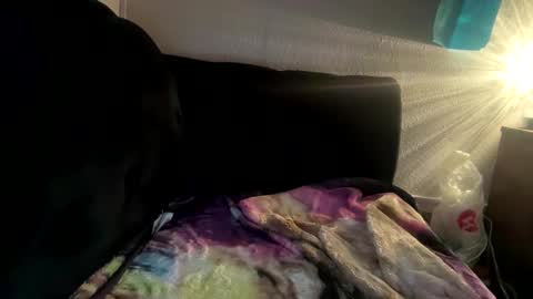 francescafey online show from March 7, 8:34 am