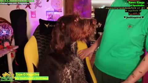 Snapshot of frogessjay chatting on October 15, 8:00 pm Jaywise Frogfoot online show from October 15, 8:00 pm