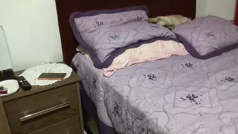 gaby  layla online show from October 21, 10:47 pm