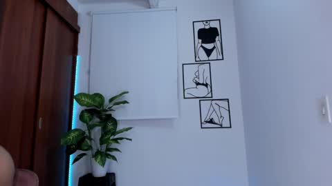    online show from January 15, 12:30 am