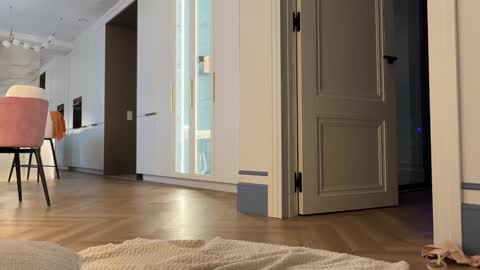 Sabi ------ online show from February 24, 7:07 am