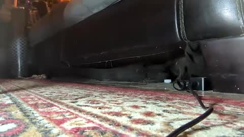 Mistress  Mommy  Godess online show from January 25, 7:17 am