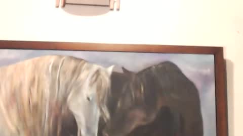 griseldax online show from December 7, 11:34 pm