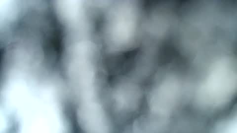 tatted blonde online show from January 17, 12:53 am