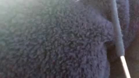 Snapshot of hairypussyxl chatting on January 13, 5:33 am hairypussyxl online show from January 13, 5:33 am