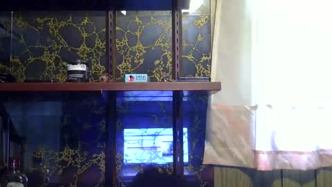 heatwavee online show from November 4, 3:39 pm