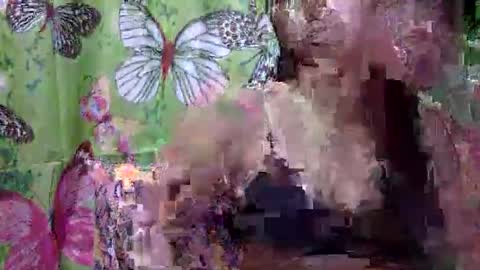 jenny online show from May 11, 4:15 pm