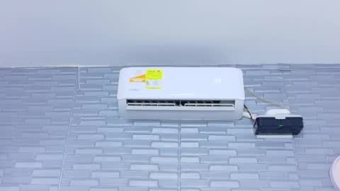 sasha online show from December 17, 2:32 pm