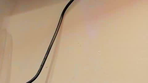 Hurren online show from February 15, 11:17 am