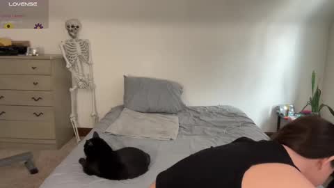 Crystal online show from February 18, 6:28 pm