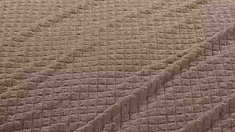 Danielle online show from November 27, 2:42 pm