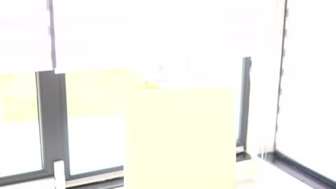 Little Flower online show from March 23, 4:02 pm