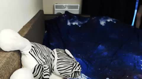 iiiiiiis online show from February 18, 2:49 pm