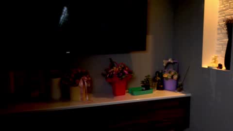 Snapshot of ileanacampbel chatting on January 28, 4:50 am ileanacampbel online show from January 28, 4:50 am