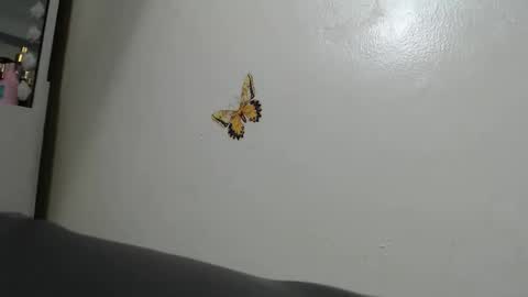 ilovewhitecockalot online show from March 22, 7:47 am