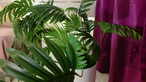 Carrie online show from November 27, 4:21 pm