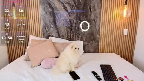 Snapshot of isadora_14 chatting on October 13, 2:31 pm ISADORA online show from October 13, 2:31 pm