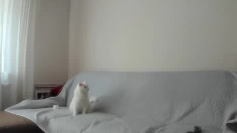 Issabelle online show from September 21, 8:24 am