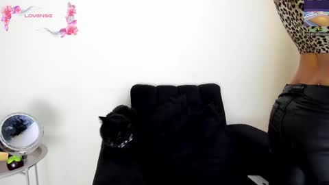 Angelica online show from February 5, 8:34 pm