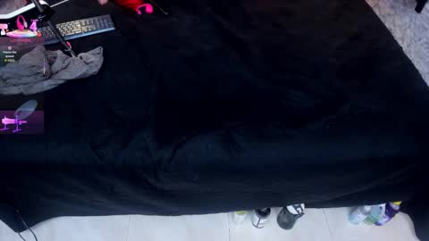 Ivis  online show from November 17, 12:50 pm