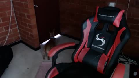 jadesexfun online show from March 12, 2:45 pm