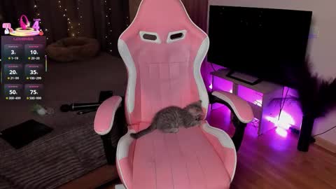 Jane online show from November 27, 2:36 am