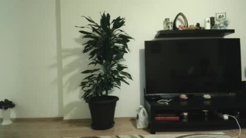 jaqueline88 online show from November 29, 4:38 am