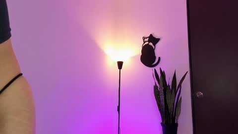 Jero Harper online show from April 12, 9:17 pm